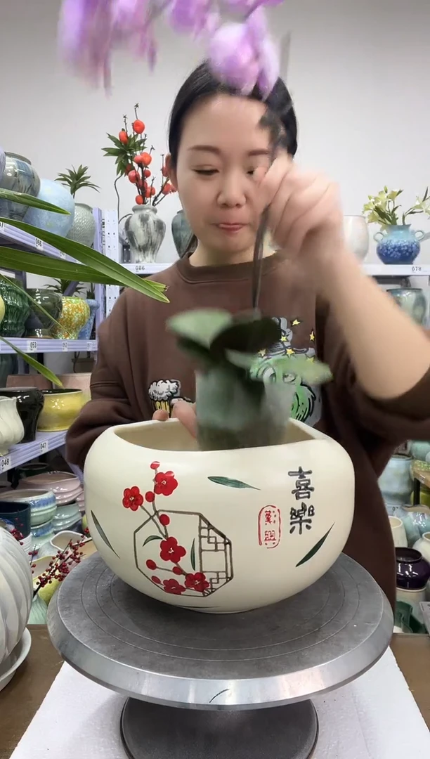 12.25陶瓷花盆直播链接高.    15  口18