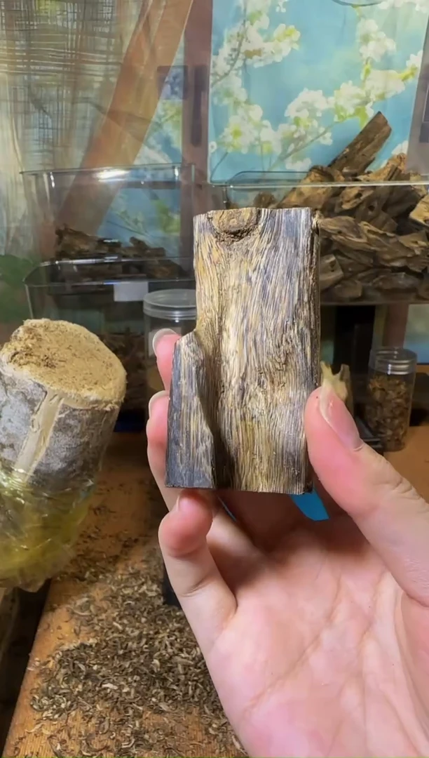 沉香沉香碎屑陆河67