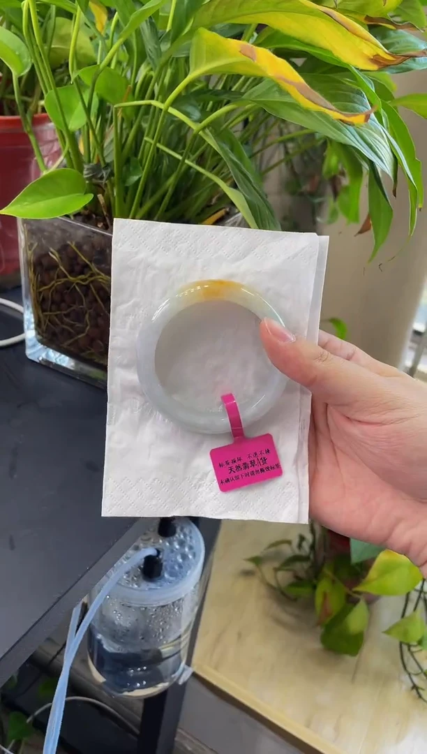 翡翠手镯未镶嵌201手镯53