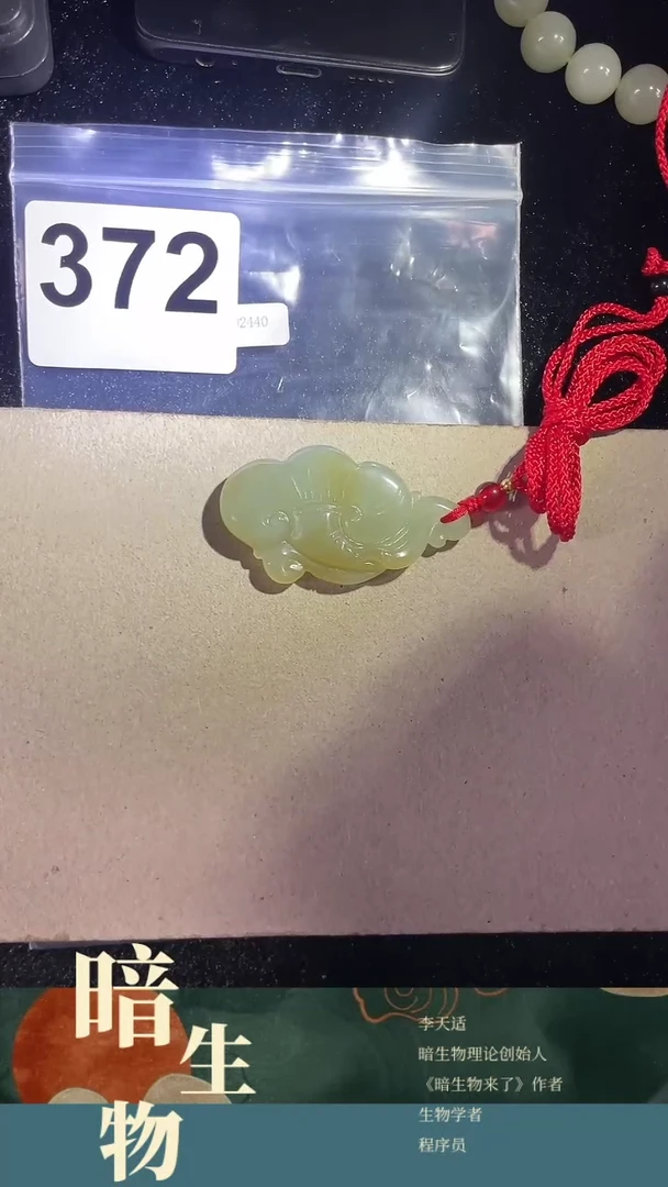 【闪购商品】和田玉吊坠(赠链)未镶嵌372