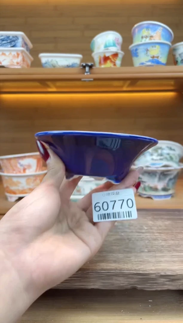 【闪购商品】红陶【60770】10*3