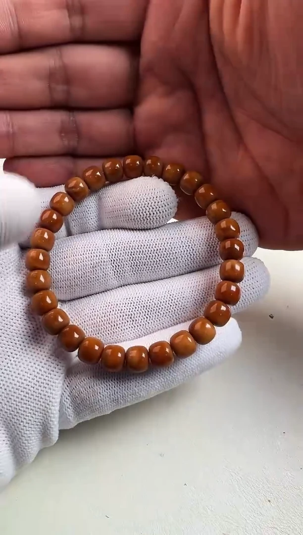 手串龙眼菩提龙眼菩提