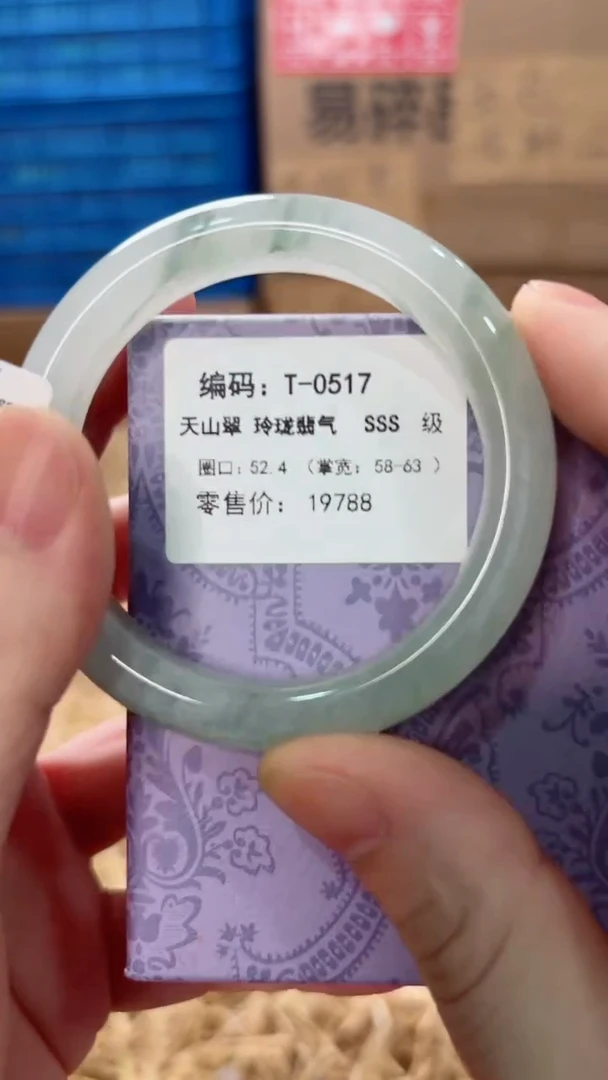 未镶嵌手镯石英质玉T-0517