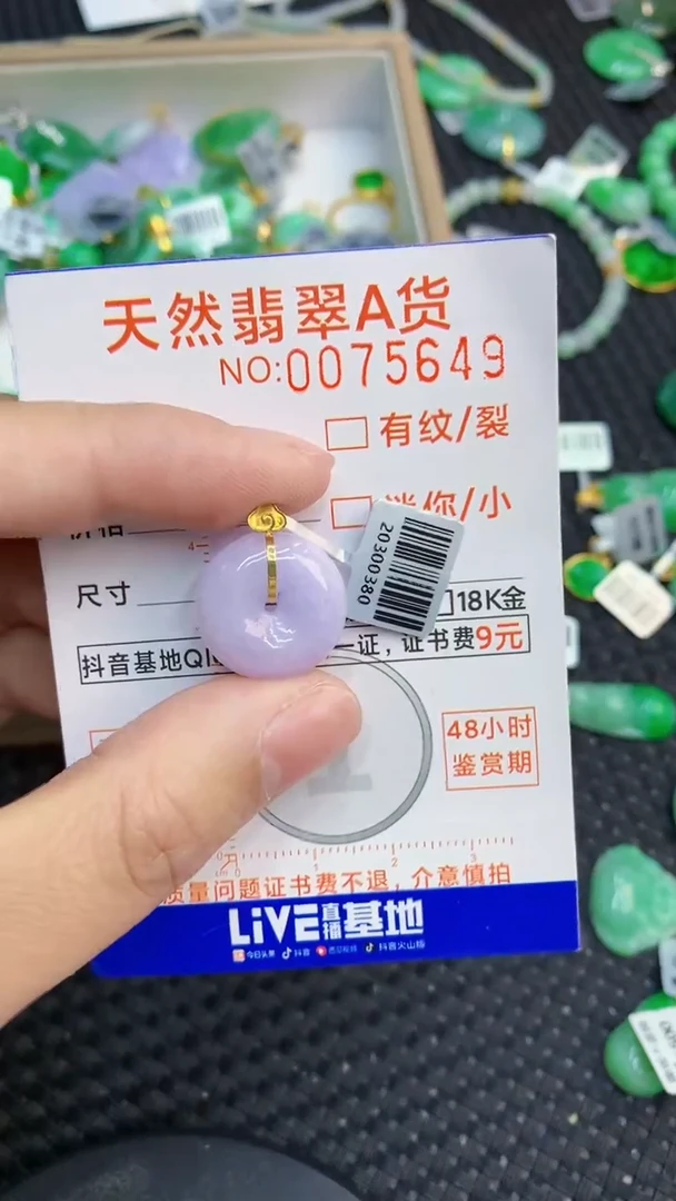 翡翠18K金镶嵌颈饰        1