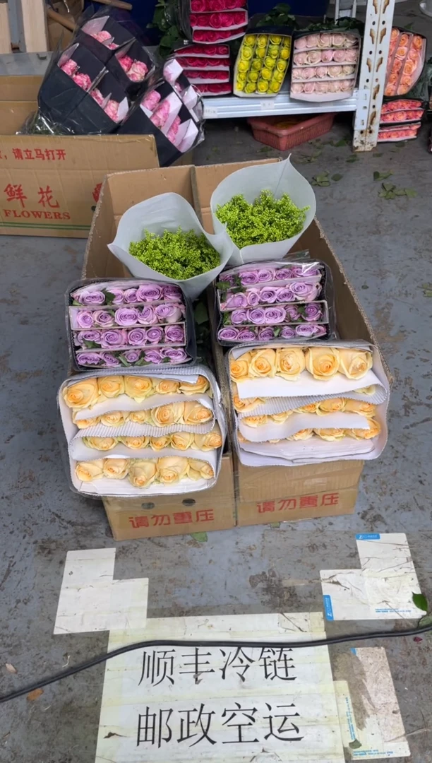 香槟20枝+海洋之歌20枝+黄莺