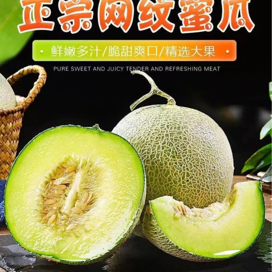 海南网纹瓜玫蜜珑瓜静冈采摘口感新鲜哈密瓜玲珑瓜软糯香甜肉厚