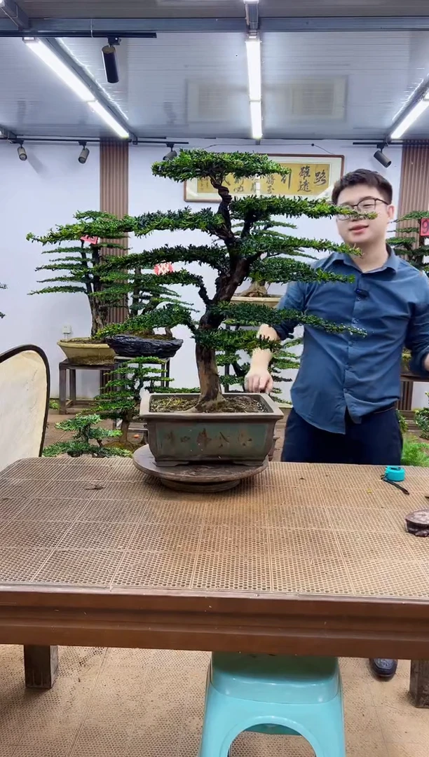 无花朵一物一拍，所见即所得
