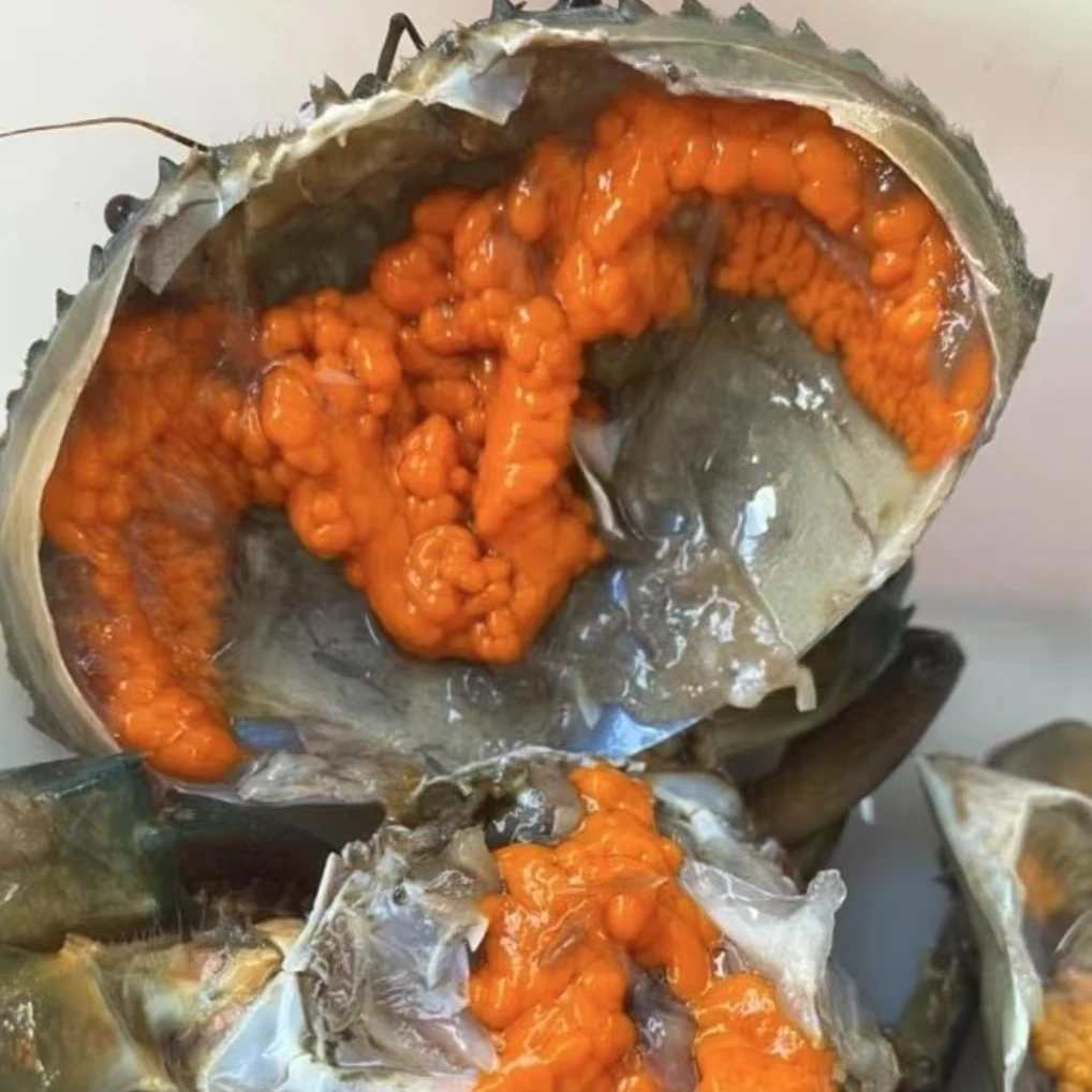 【包活到家】红膏蟹码头价N 包活到家 包有膏包有黄100-150g/只螃蟹