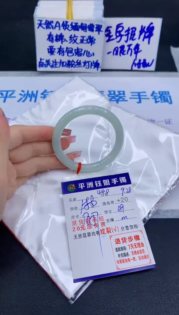 未镶嵌手镯翡翠11111