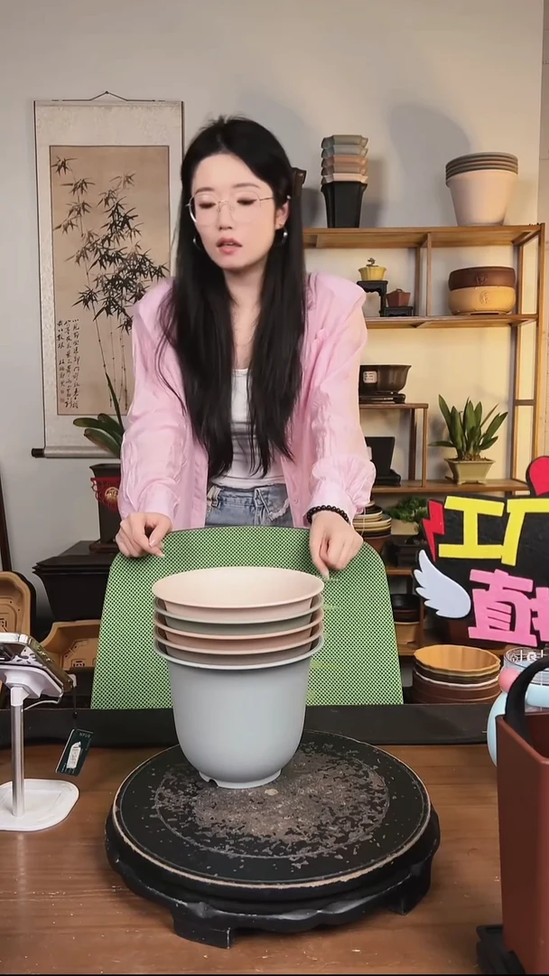 5只18口径金钟马卡龙色系