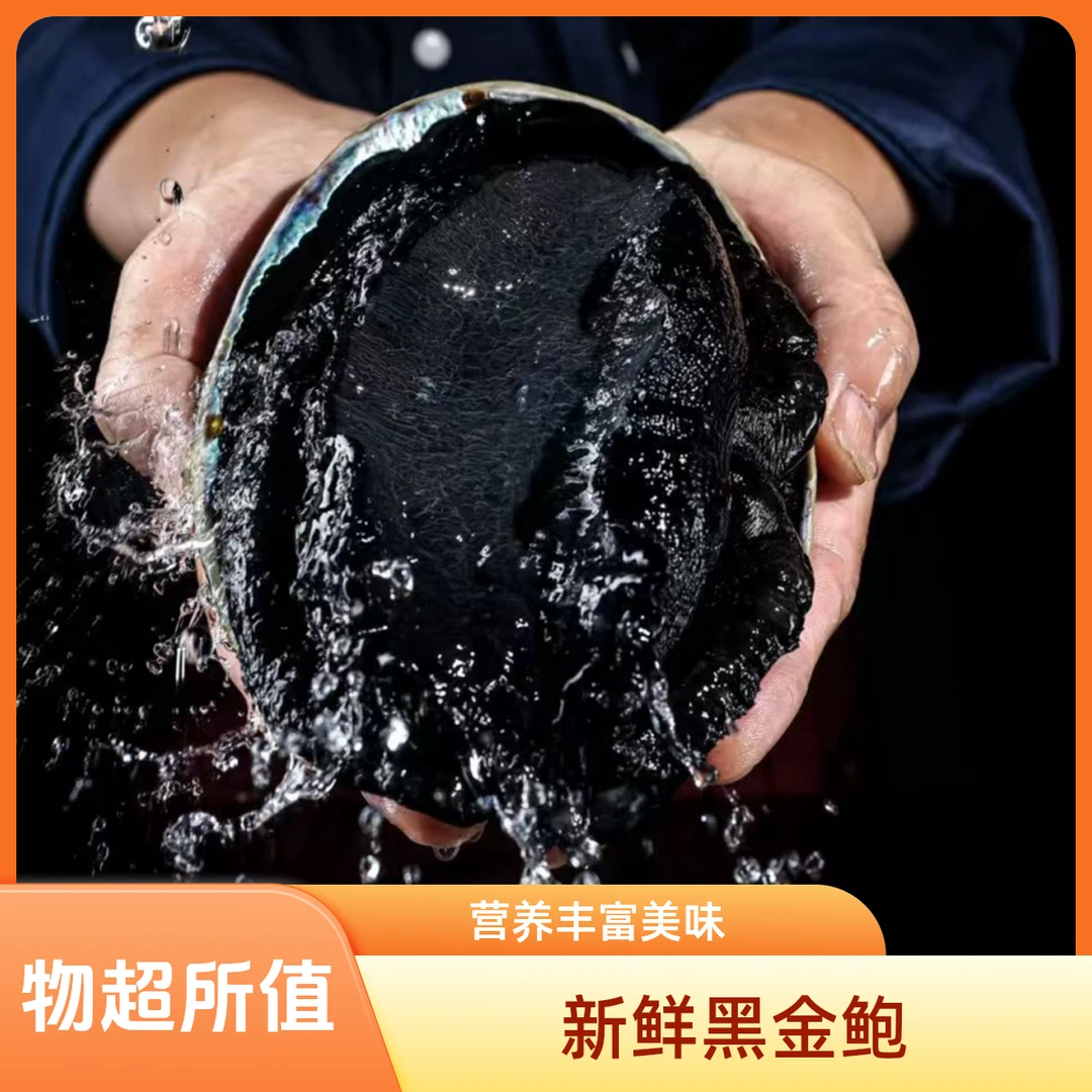 鲜活黑金鲍一个（0.9斤-1.2斤）