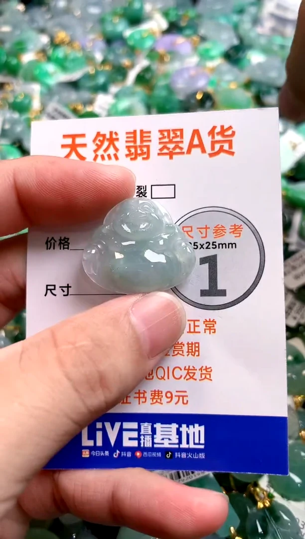 颈饰未镶嵌翡翠14006240