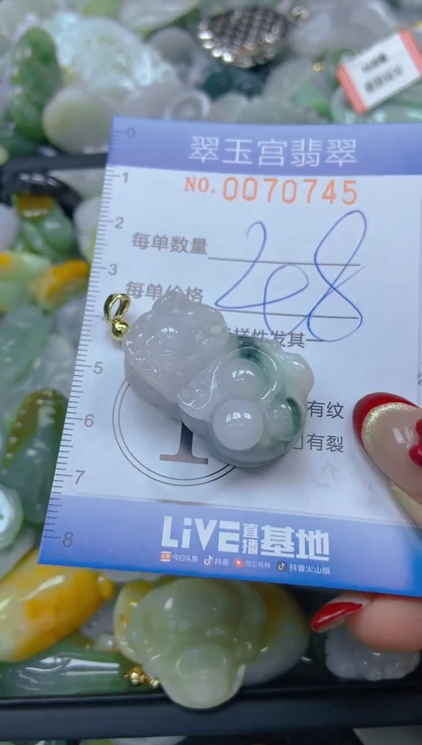 【闪购商品】翡翠颈饰未镶嵌闪购0070745