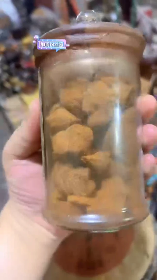 紫砂紫砂紫砂紫砂