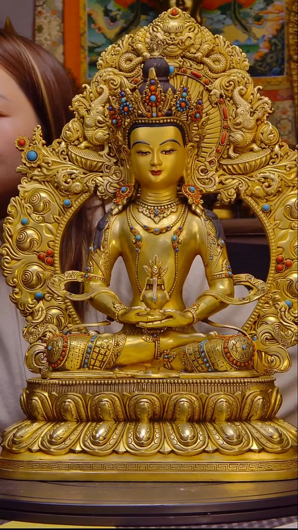 用****0000000000000000