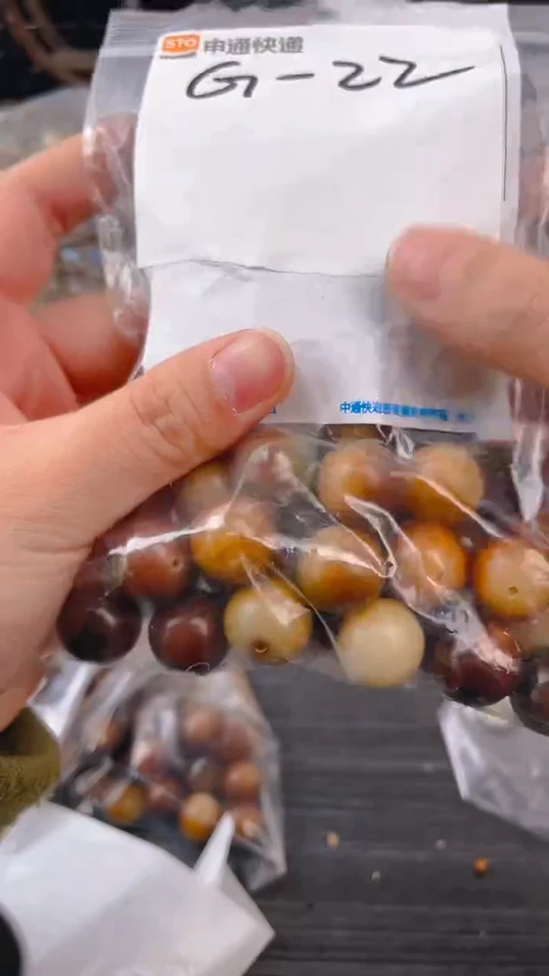 【闪购商品】菩提根/象牙果把件g22