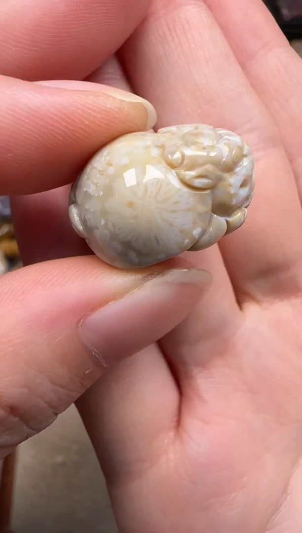 硅化珊瑚（珊瑚玉）未镶嵌颈饰072