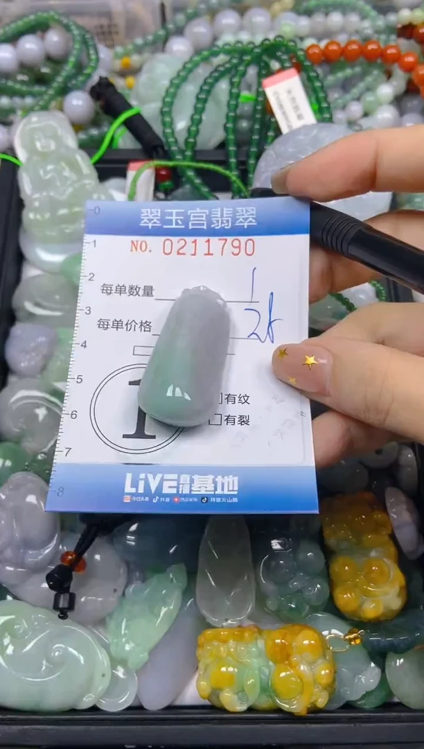 颈饰未镶嵌翡翠闪购C0211790