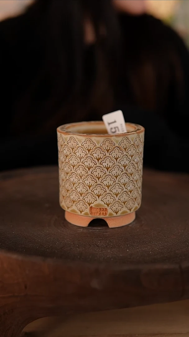 【闪购商品】红陶1-13-150默认微瑕口6