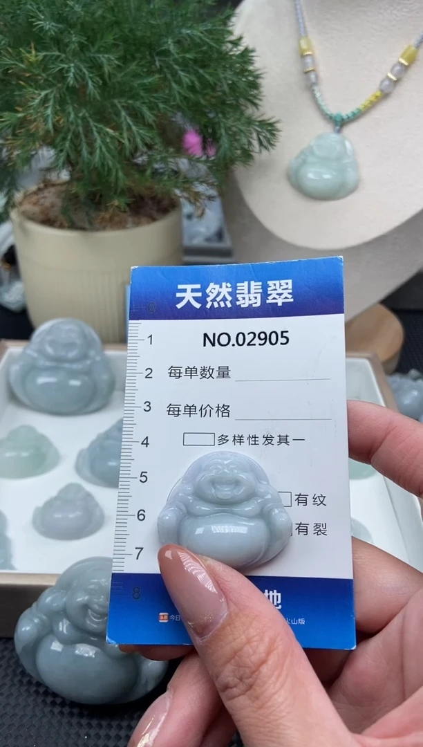 颈饰未镶嵌翡翠纯天然A货翡翠2905