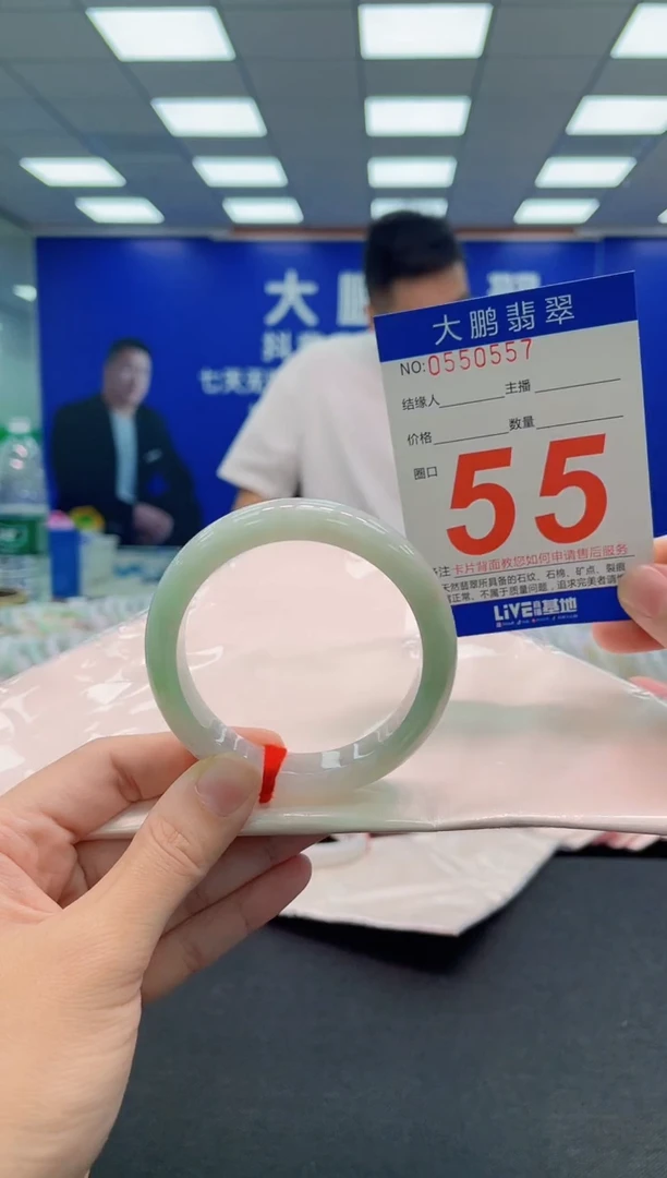 未镶嵌手镯翡翠AAAAAAAAA