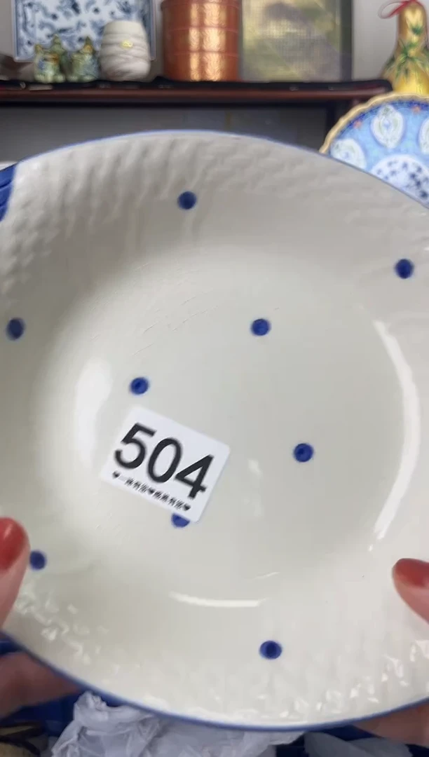 瓷片504...............