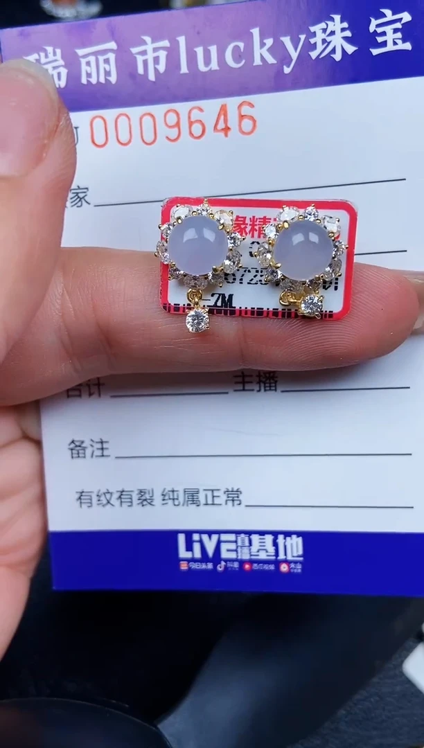 翡翠银S925镶嵌颈饰9646