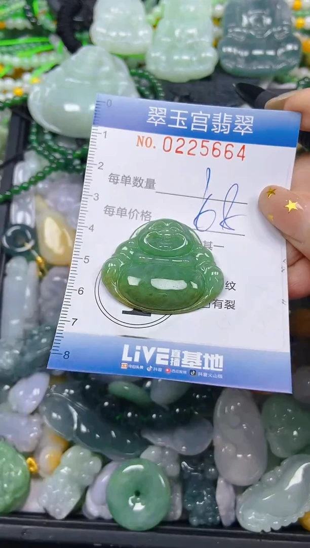颈饰未镶嵌翡翠闪购C0225664