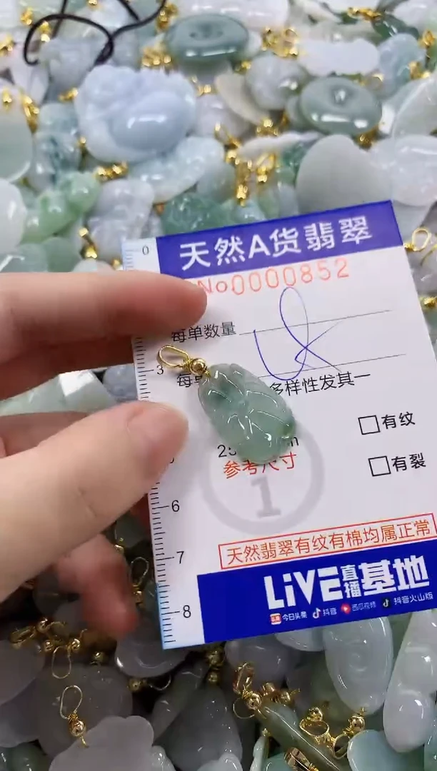 颈饰未镶嵌翡翠天然A货翡翠
