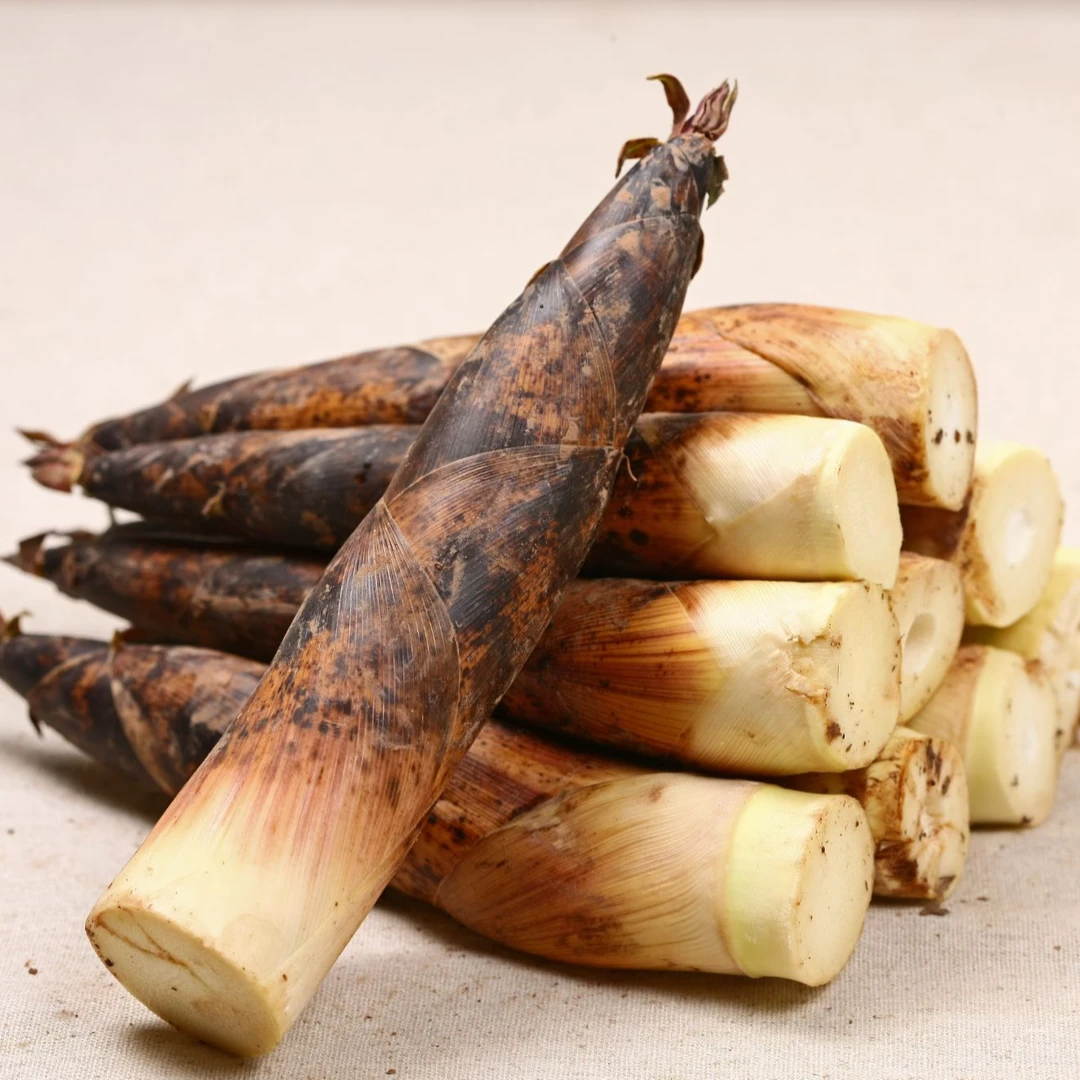 【在地物产】江西新鲜春笋雷竹笋嫩脆美味高笋腌笃鲜油焖笋蔬菜