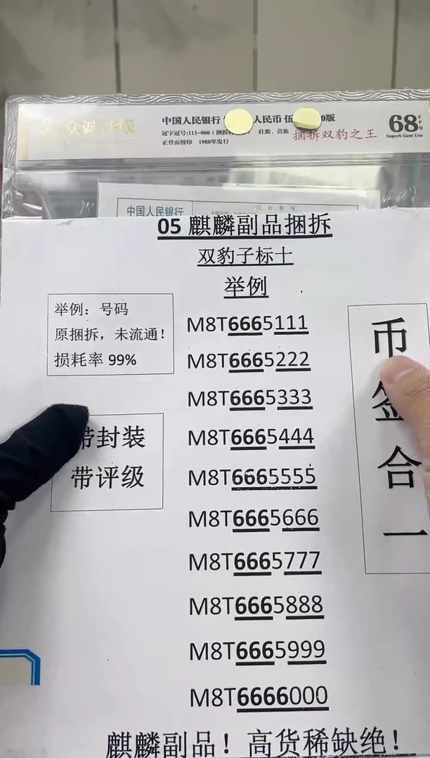 双豹子【捆拆双豹之王】