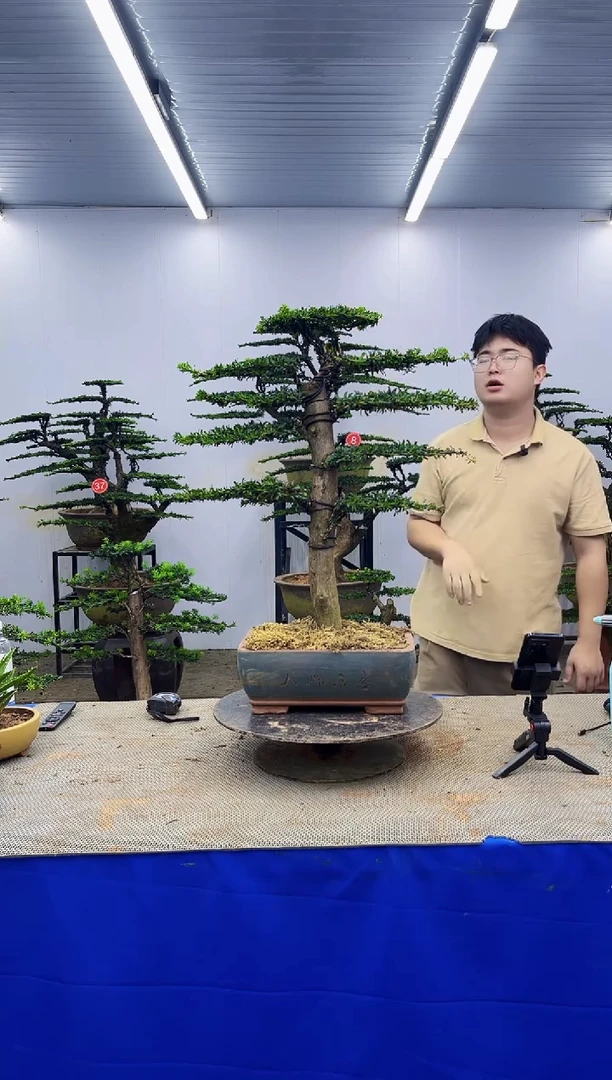 无花朵一物一拍，所见即所得