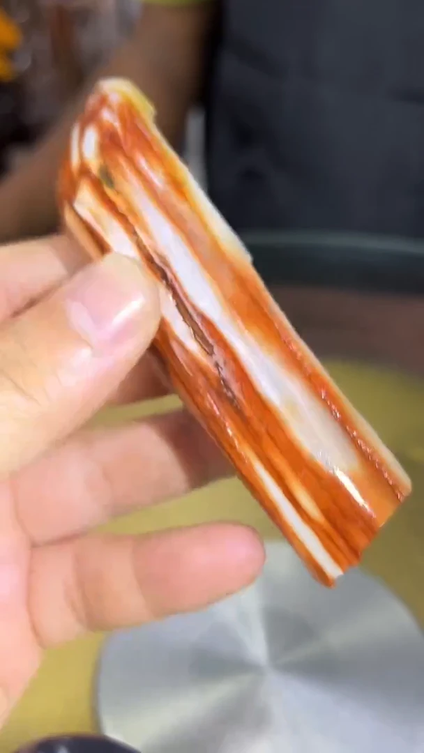 未镶嵌珠宝奇石硅化玉缅甸天然树化玉手把件