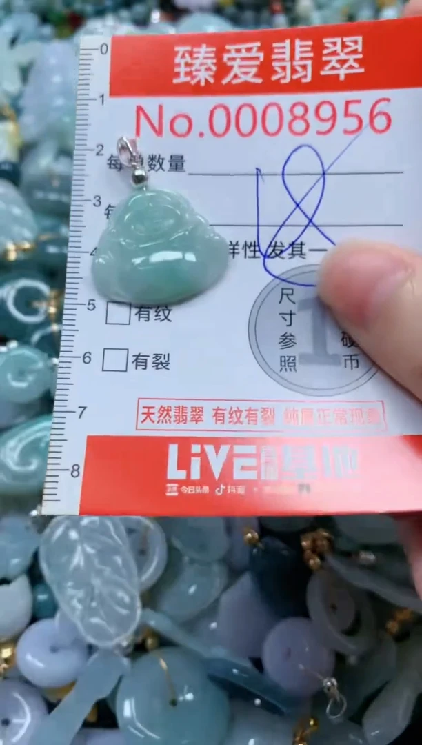 翡翠未镶嵌吊坠(不含链)8956