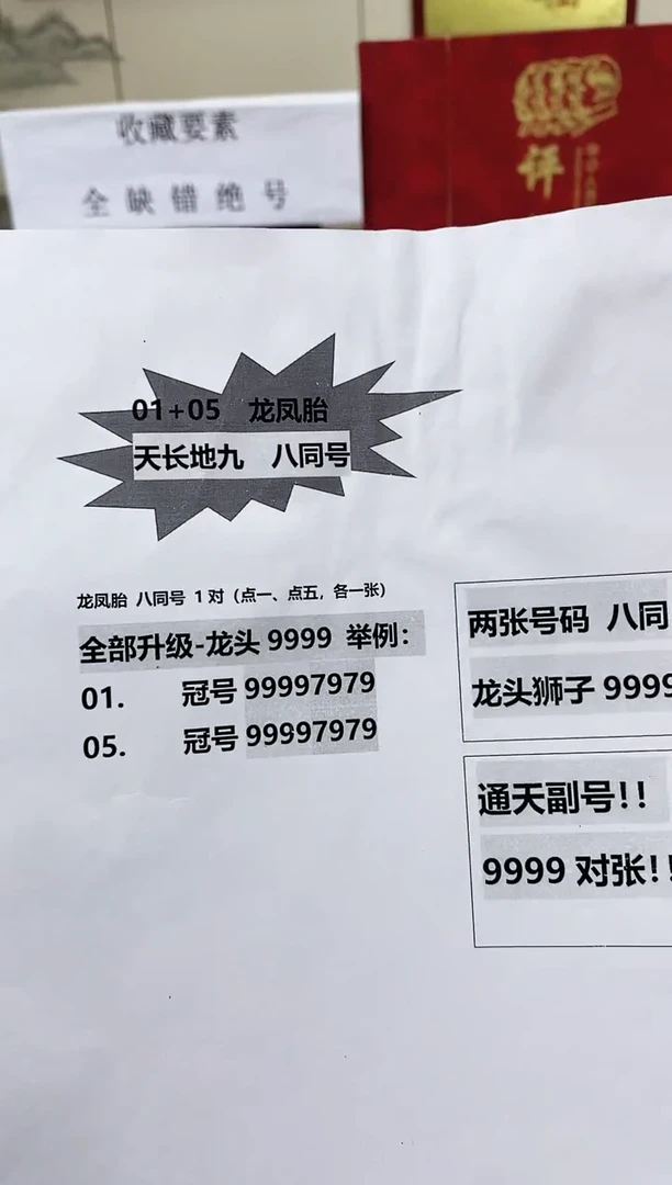 【通天狮子9】龙凤胎.册 对张福利