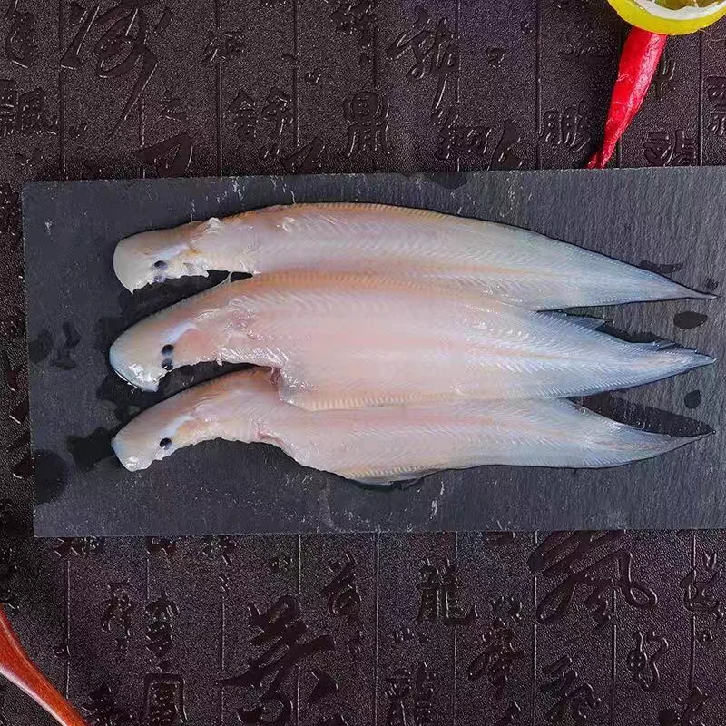 c木大姐专属连云港发货踏板鱼到手1箱/3斤（30条左右）