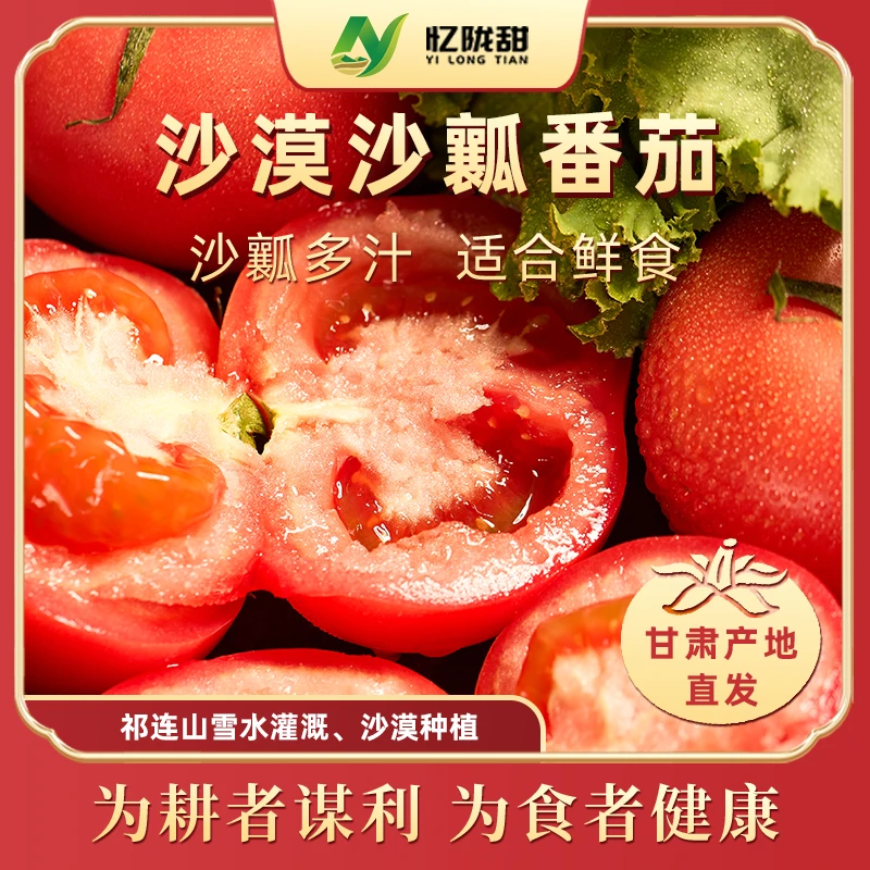 【忆陇甜】甘肃沙漠沙瓤西红柿现摘现发净重4.5斤装生吃沙瓤多汁