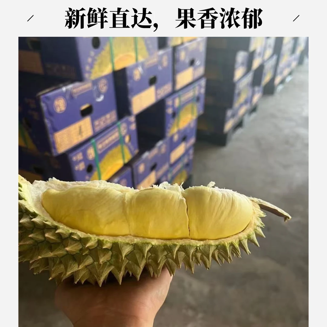 【J、T】广西广东顺丰明日达新鲜树熟金枕香甜软糯一整个2-9斤核小金枕泰国南部