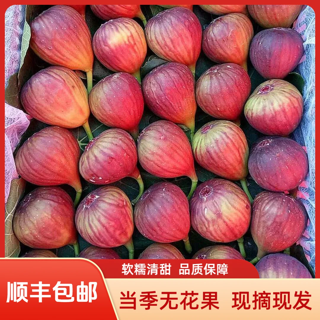 【顺丰空运】红皮无花果新鲜当天现摘当季水果软糯香甜孕妇小孩水果