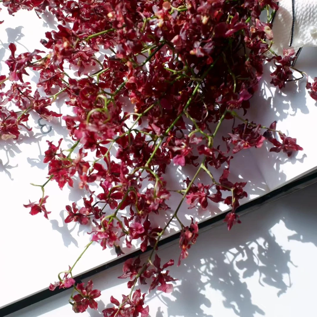 【一单不售后|泰国香水兰】稀缺小众高端花材  鲜切花