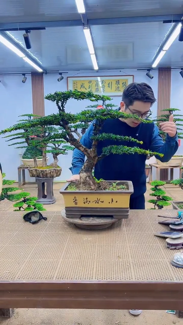 无花朵一物一拍，所见即所得