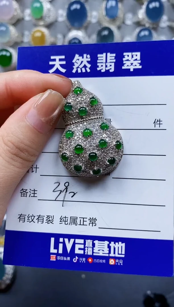 翡翠银S925镶嵌颈饰0392