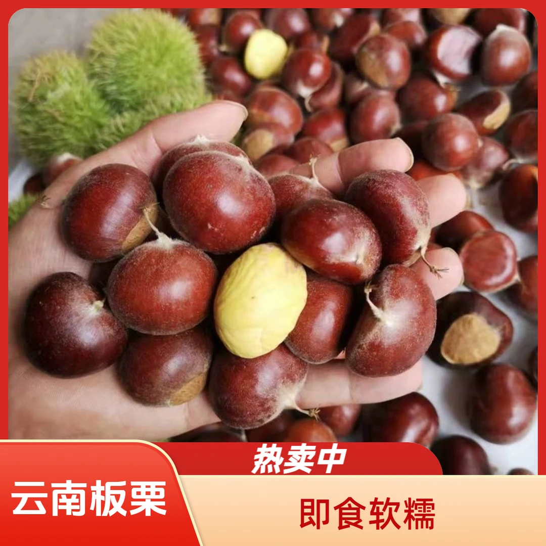 云南最新老品种板栗即食熟制软糯真空原味尝鲜超特惠