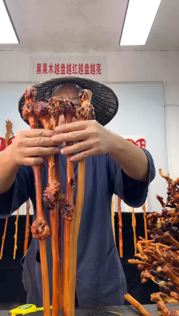 黑果木其他黑果木673