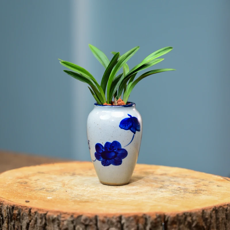 04矮种建兰【掌中宝】景德镇青花盆 古朴经典底座 桌面懒人好养易活