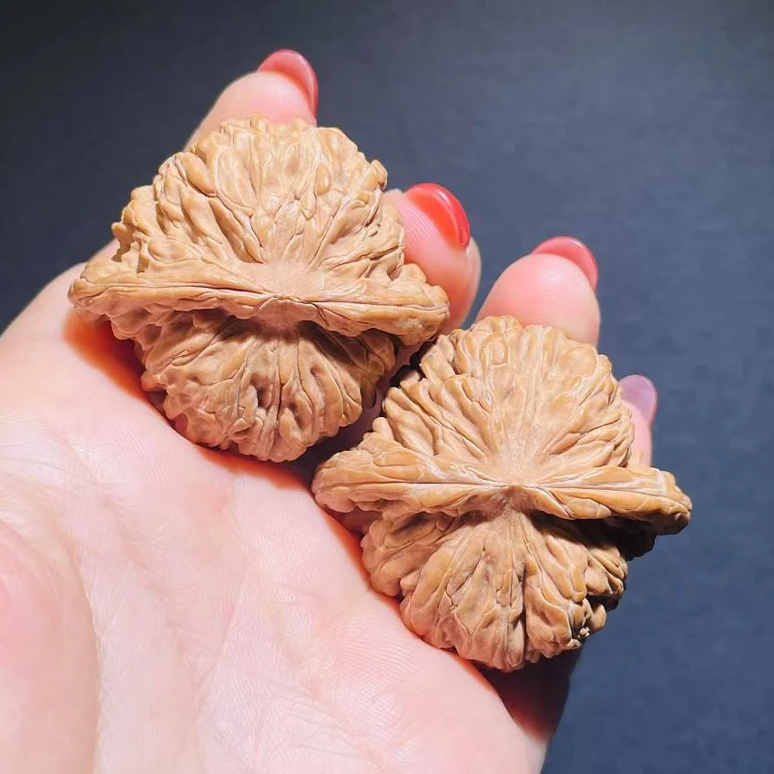 00134山西汉高山全品无修精品汉高楼狮子头