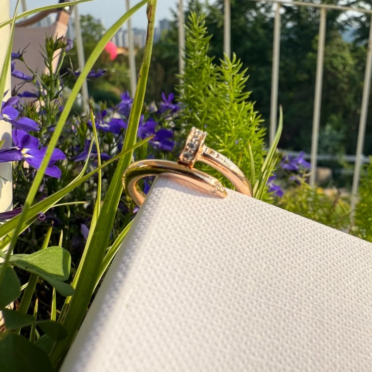 合金锆石戒指 甜美精致镶嵌女款戒指时尚轻奢可调节百搭素款小众