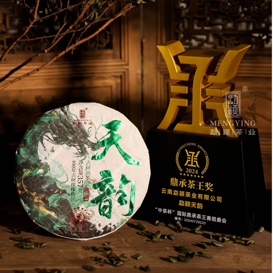 2024茶王奖天韵400年古树熟茶春普洱熟茶357g国际鼎承茶王赛
