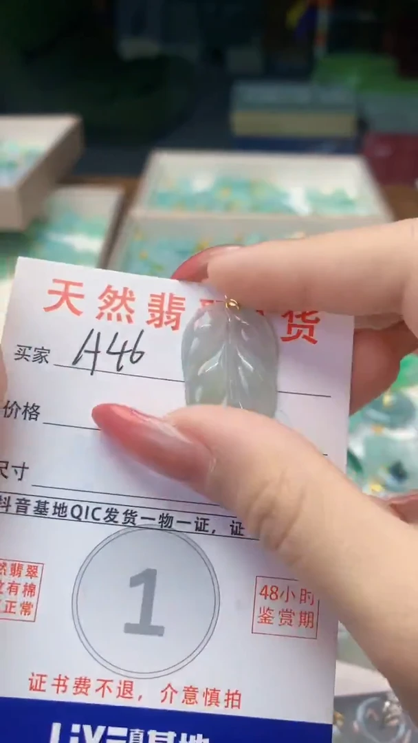颈饰未镶嵌翡翠纯天然翡翠A货挂件