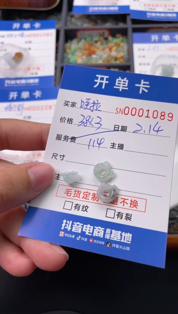 【闪购商品】翡翠颈饰未镶嵌00001089